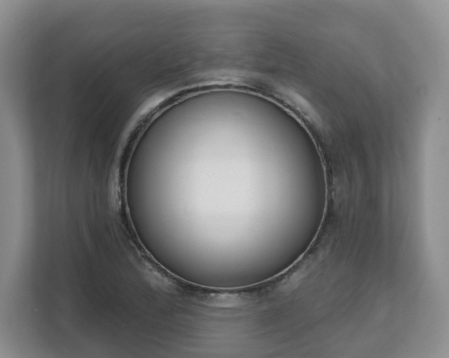 X0000111621172200907241024