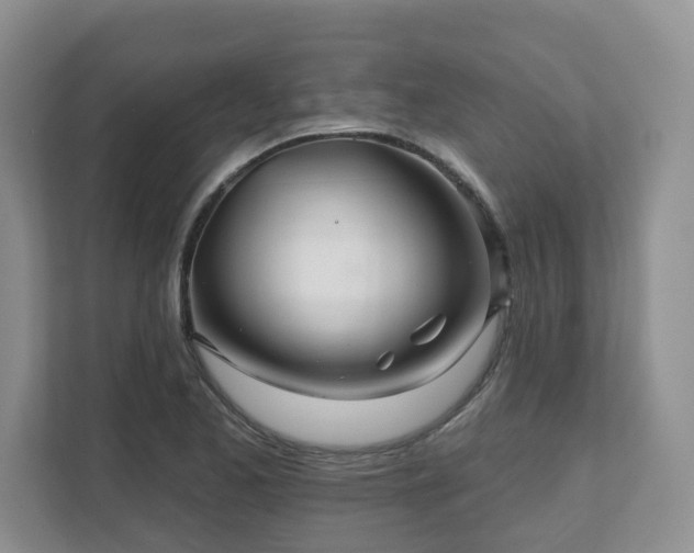 X0000111621173200907241024