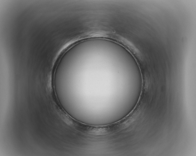 X0000111621174200907241024