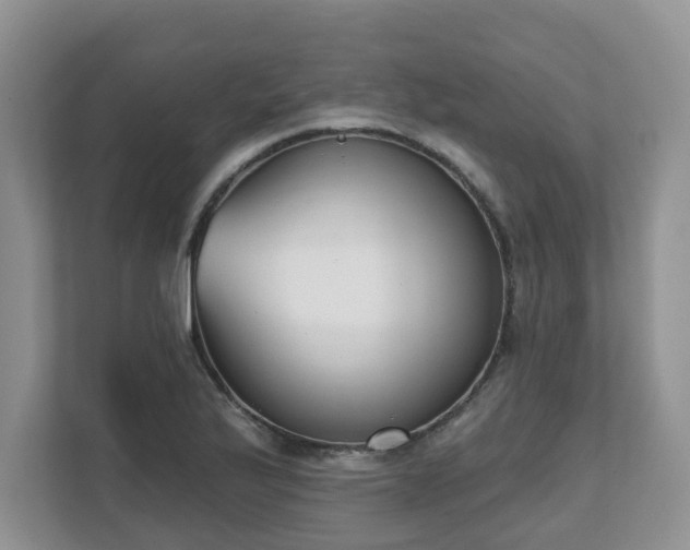 X0000111621175200907241024
