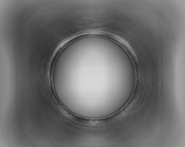X0000111621176200907241024