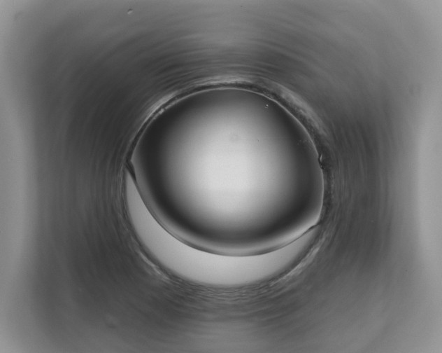 X0000111621177200907241024