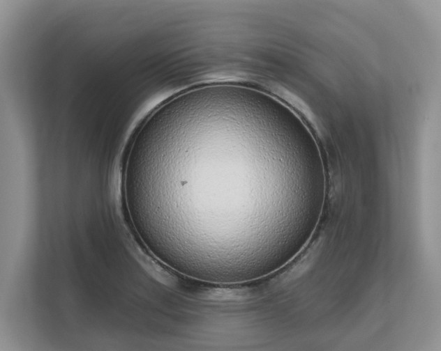 X0000111621179200907241024