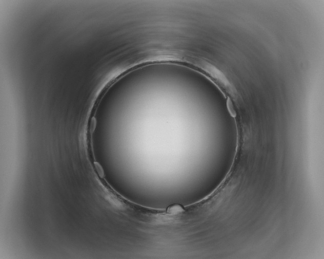 X0000111621181200907241024