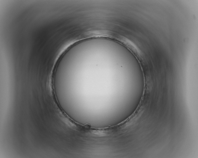 X0000111621182200907241024