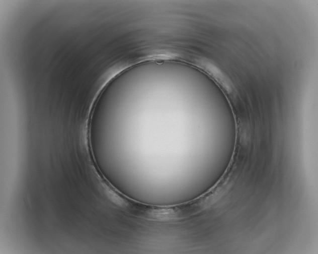 X0000111621186200907241024