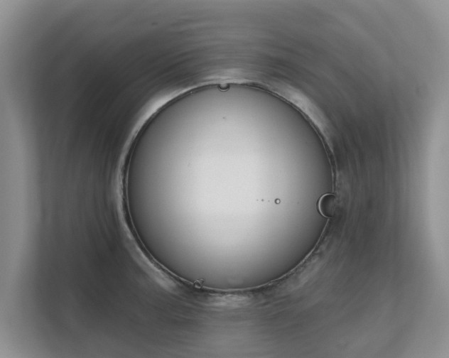 X0000111621187200907241024