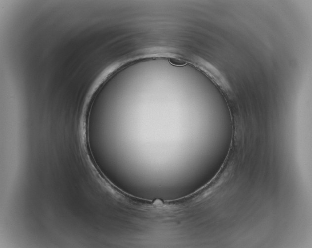 X0000111621188200907241024