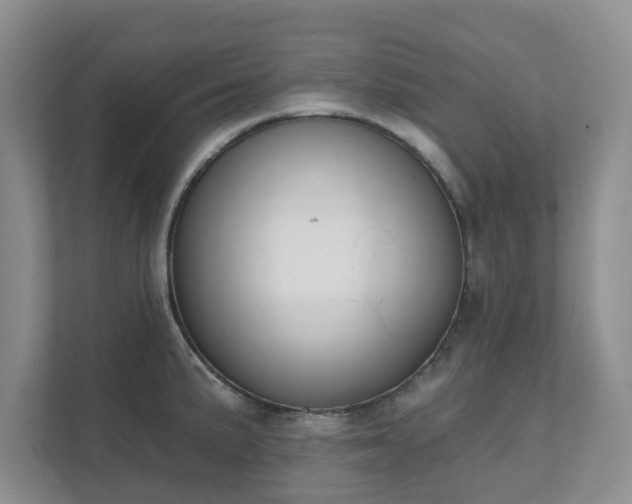 X0000111621191200907241024