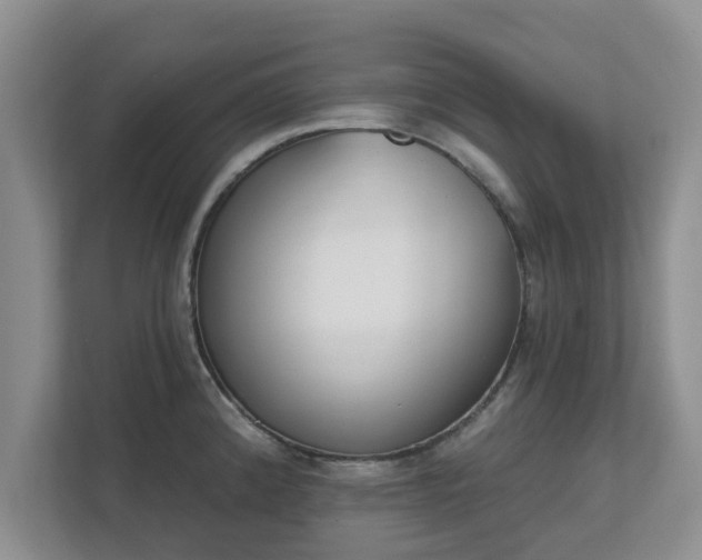 X0000111621192200907241024