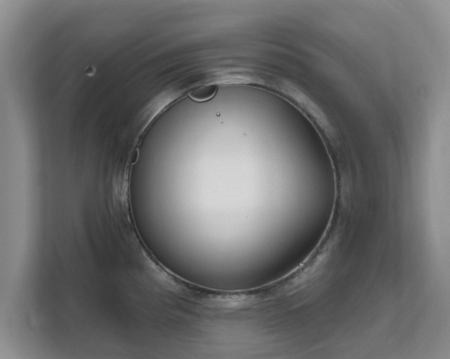 X0000111621193200907241024