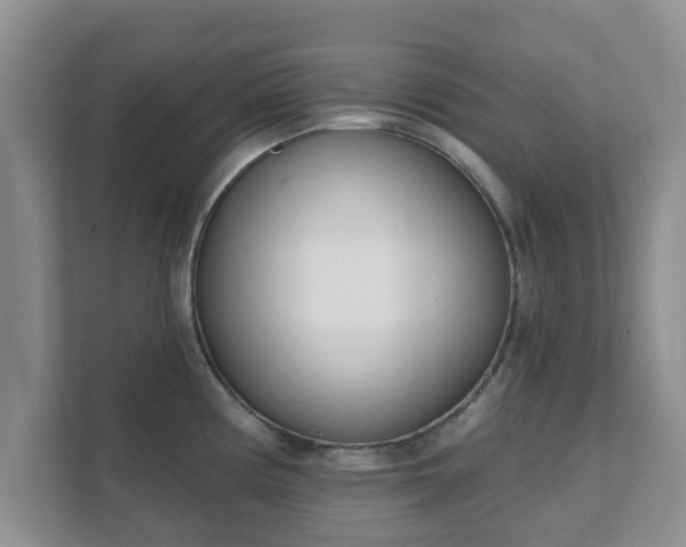 X0000111621194200907241024