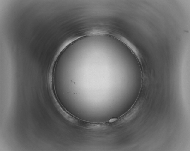 X0000111621195200907241024