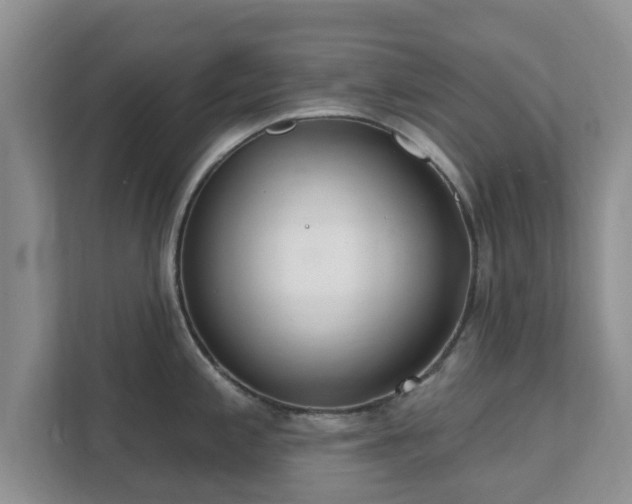 X0000111621197200907241024