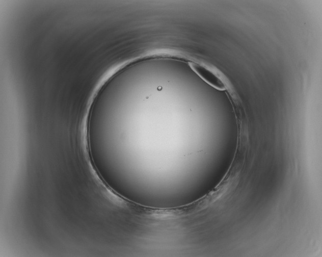 X0000111621199200907241024