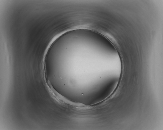 X0000111621200200907241024