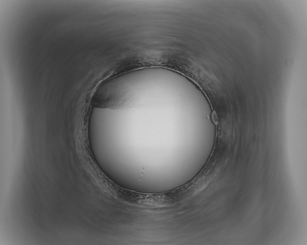 X0000111621201200907241023