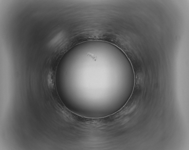 X0000111621202200907241023