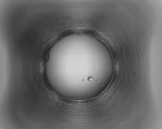 X0000111621204200907241023