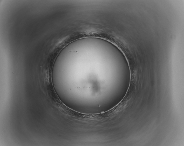 X0000111621205200907241023