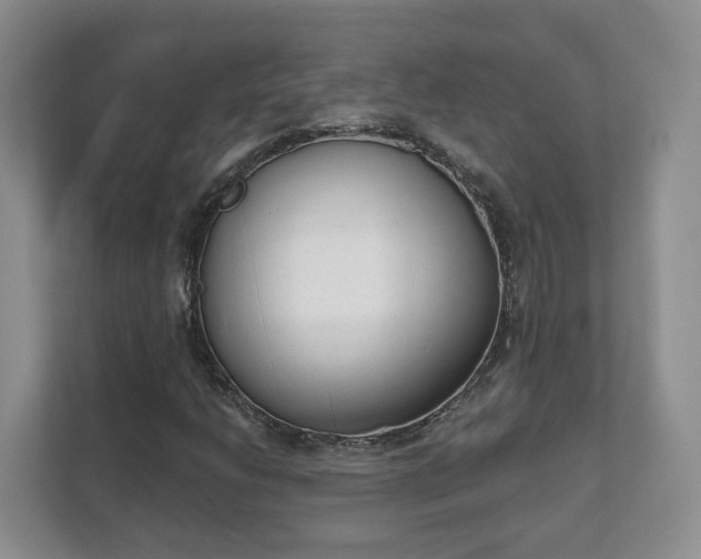 X0000111621206200907241023