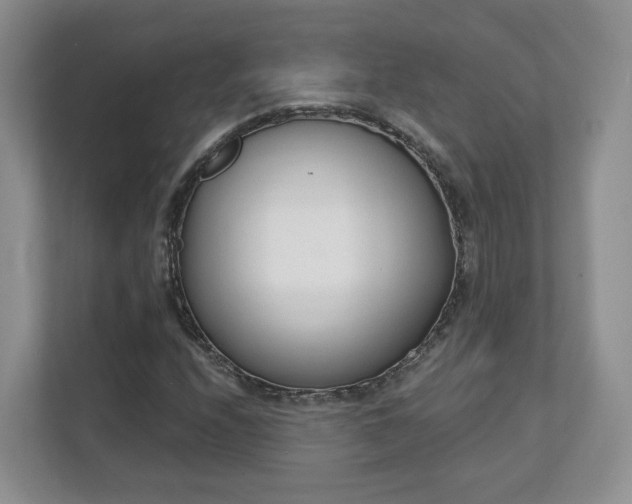 X0000111621208200907241023