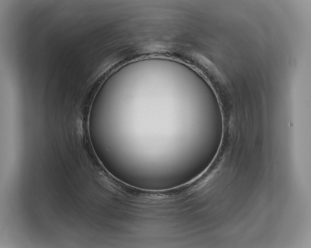X0000111621209200907241023