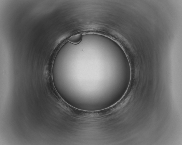 X0000111621210200907241023