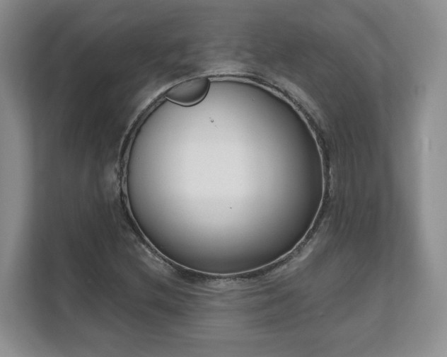 X0000111621212200907241023