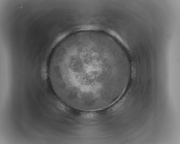 X0000111621213200907241023