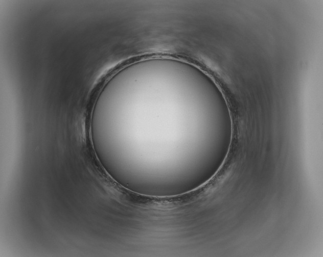 X0000111621214200907241023