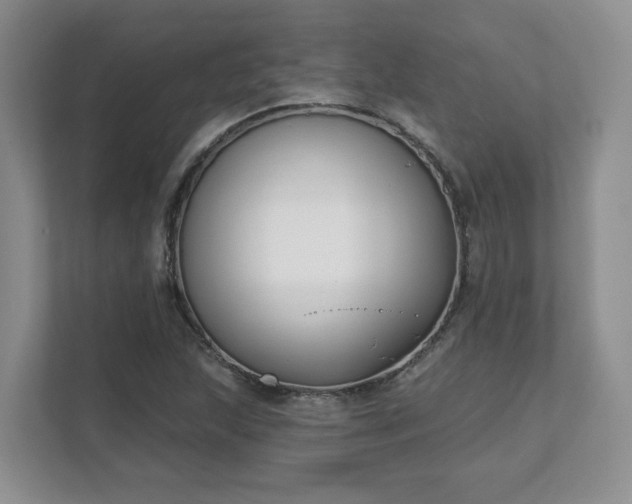 X0000111621215200907241023
