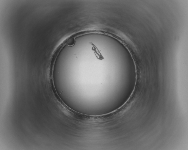 X0000111621216200907241023
