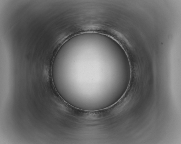 X0000111621217200907241023