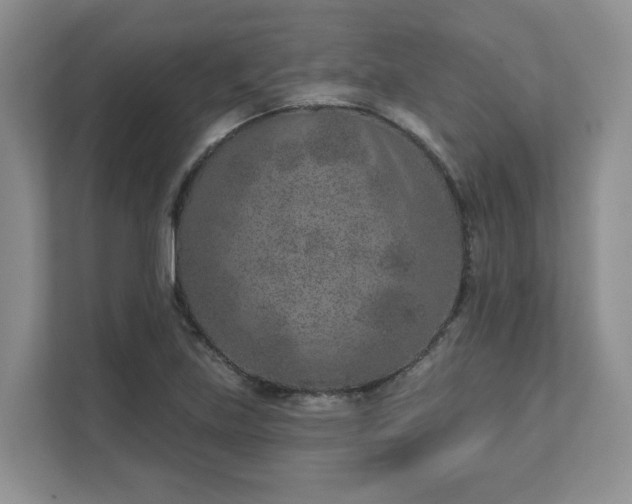 X0000111621219200907241023