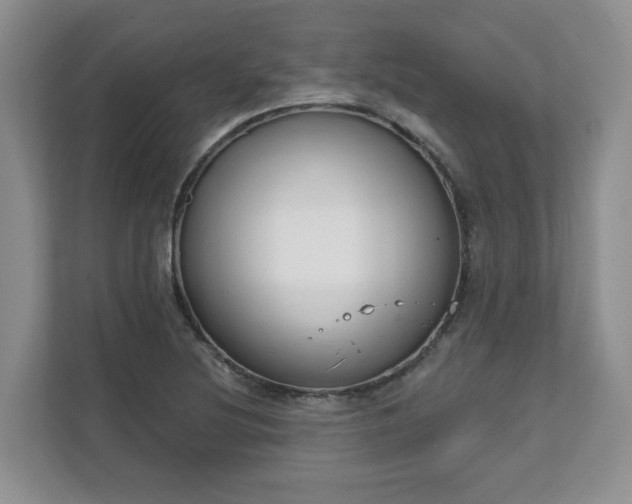 X0000111621220200907241023