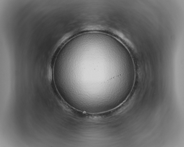 X0000111621221200907241023