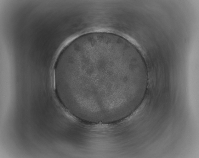 X0000111621223200907241023