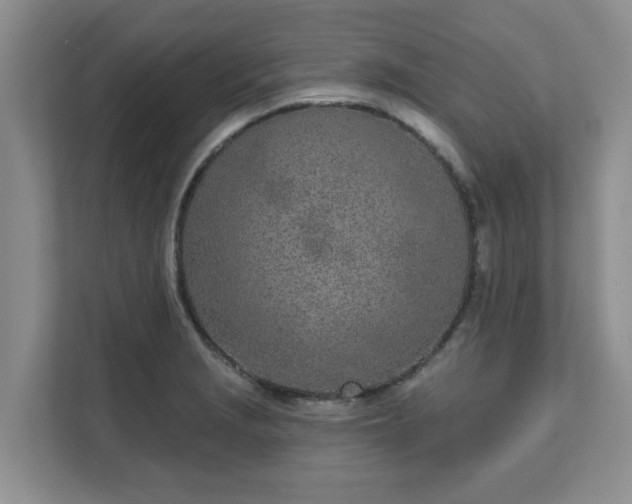 X0000111621229200907241023