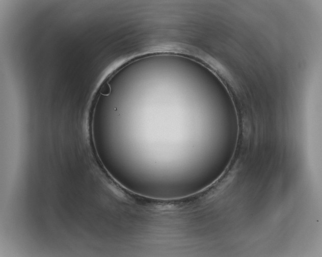 X0000111621230200907241023