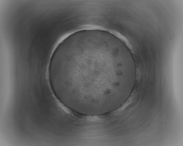 X0000111621231200907241023
