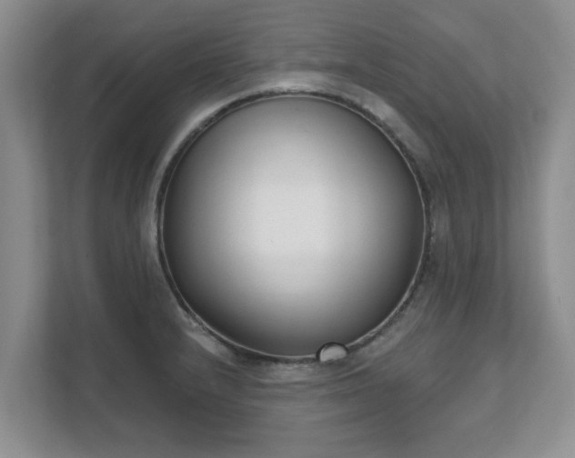 X0000111621232200907241023