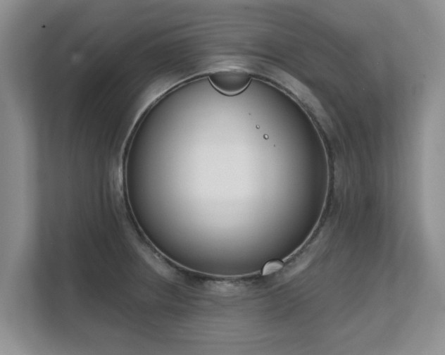 X0000111621234200907241023