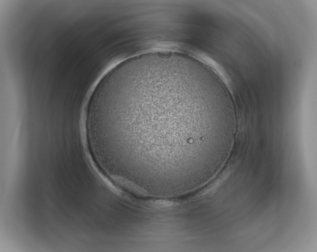X0000111621235200907241023