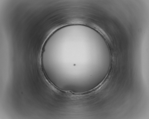 X0000111621236200907241023