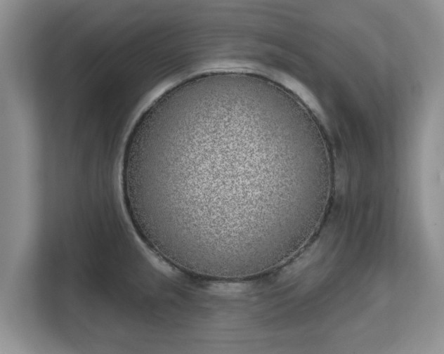 X0000111621237200907241023