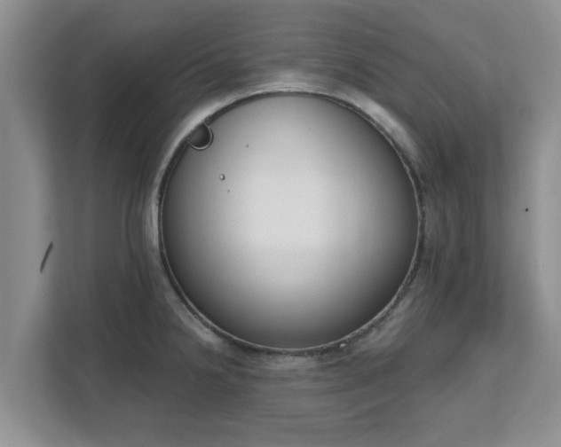 X0000111621238200907241023