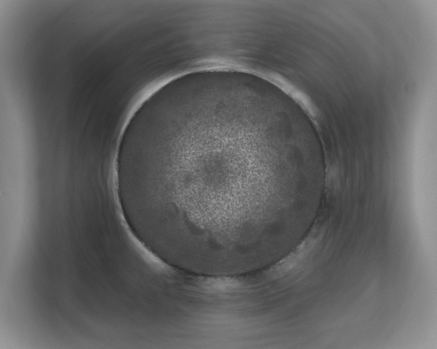 X0000111621239200907241023