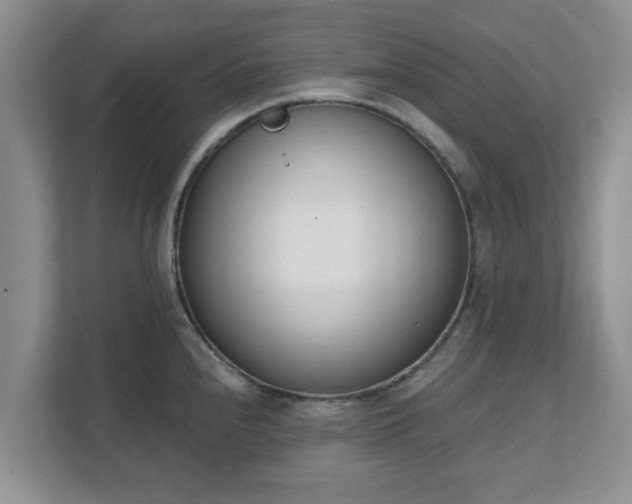 X0000111621240200907241023