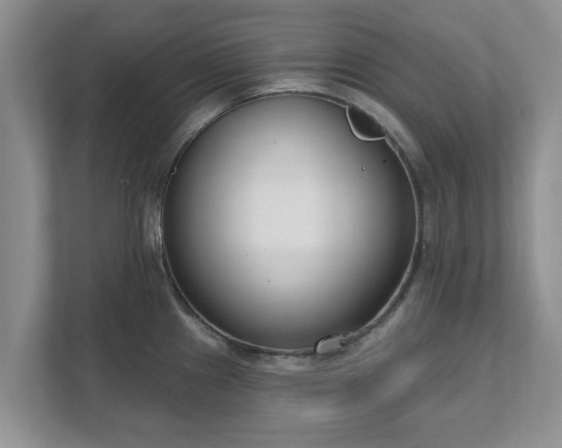 X0000111621241200907241023